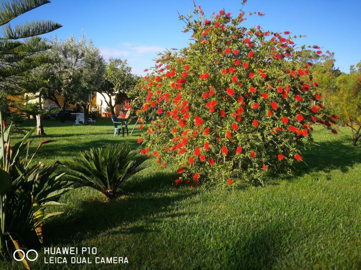 B&B Fiori Di Pesco Fertilia Exterior photo